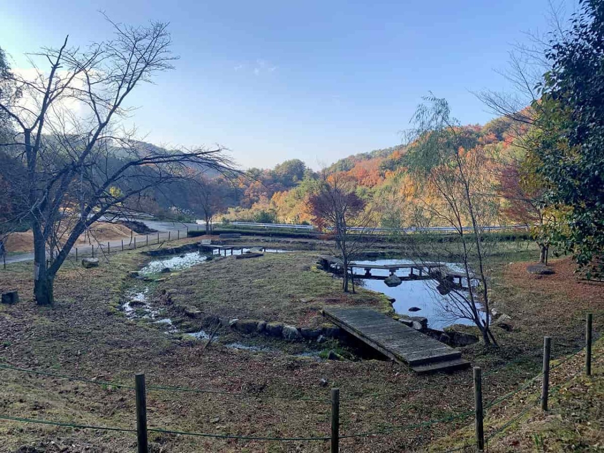 島根県浜田市_もみじ谷公園_紅葉スポット_椿_散策_ドライブ_穴場_オススメ