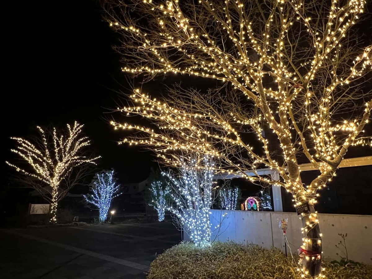 島根県安来市_どじょナリエ_イルミネーション_安来市役所_オススメスポット_夜イベント