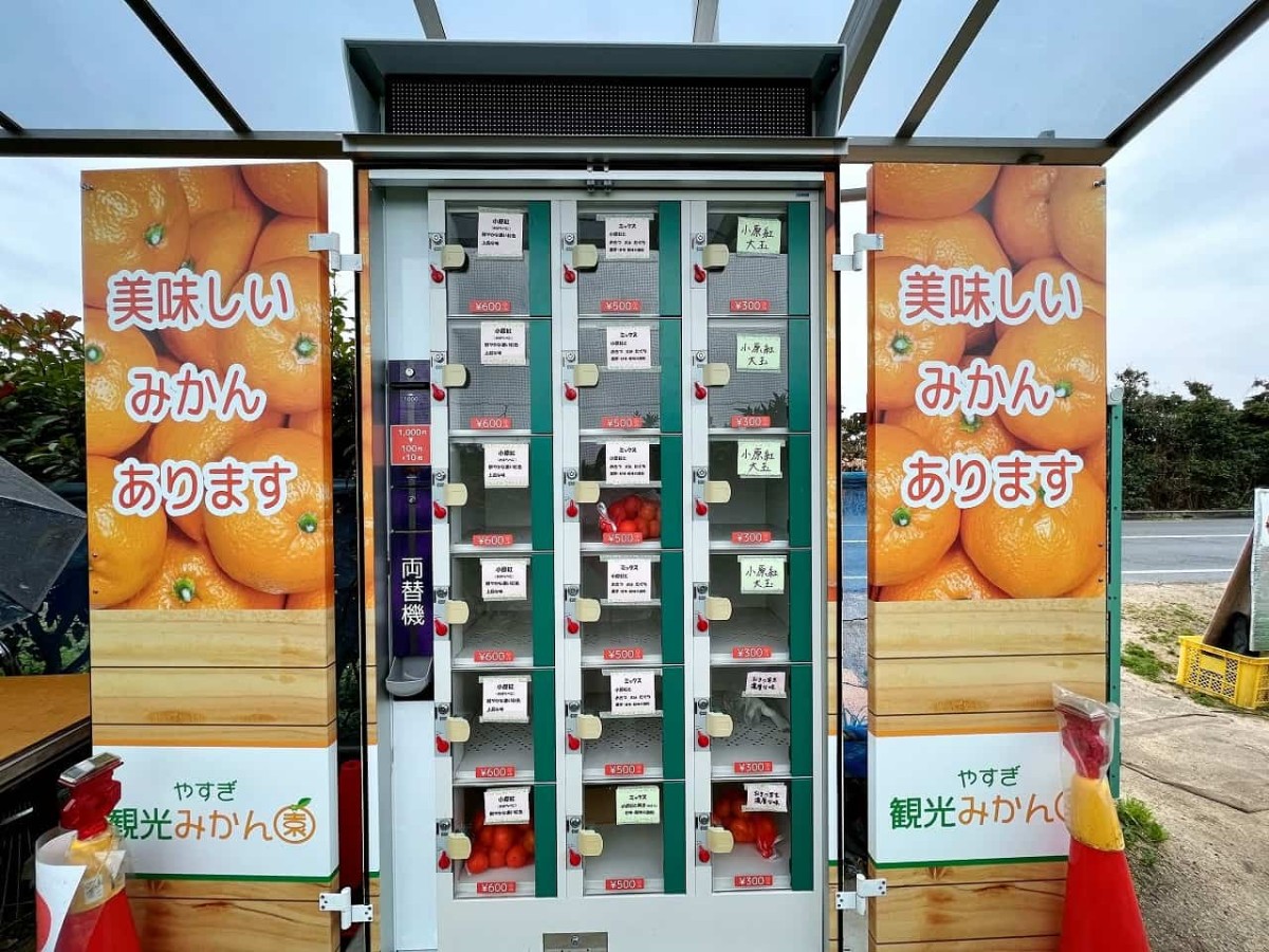 島根県安来市_やすぎ観光みかん園_みかんの自販機_珍スポット