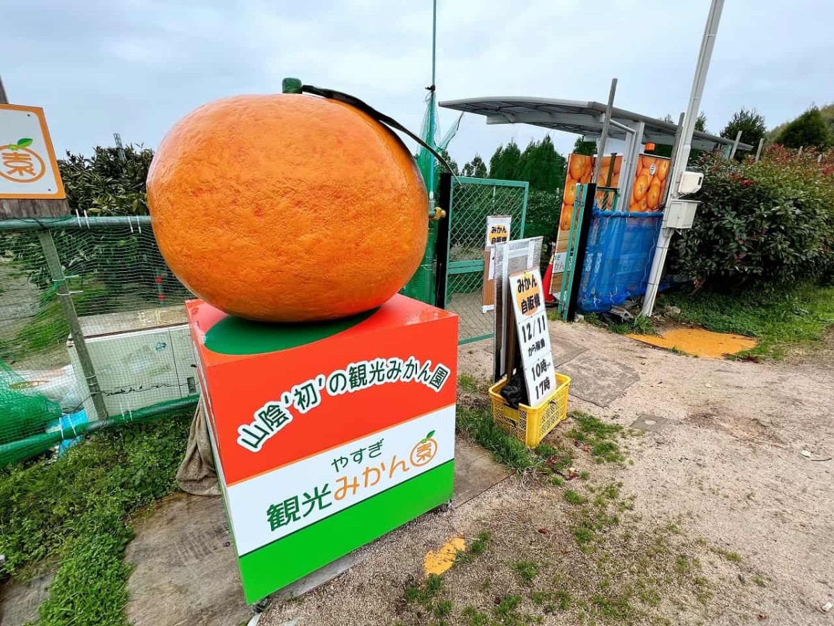 島根県安来市_やすぎ観光みかん園_みかんの自販機_珍スポット