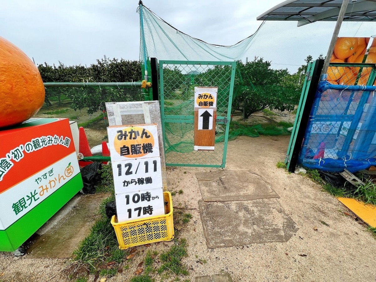 島根県安来市_やすぎ観光みかん園_みかんの自販機_珍スポット