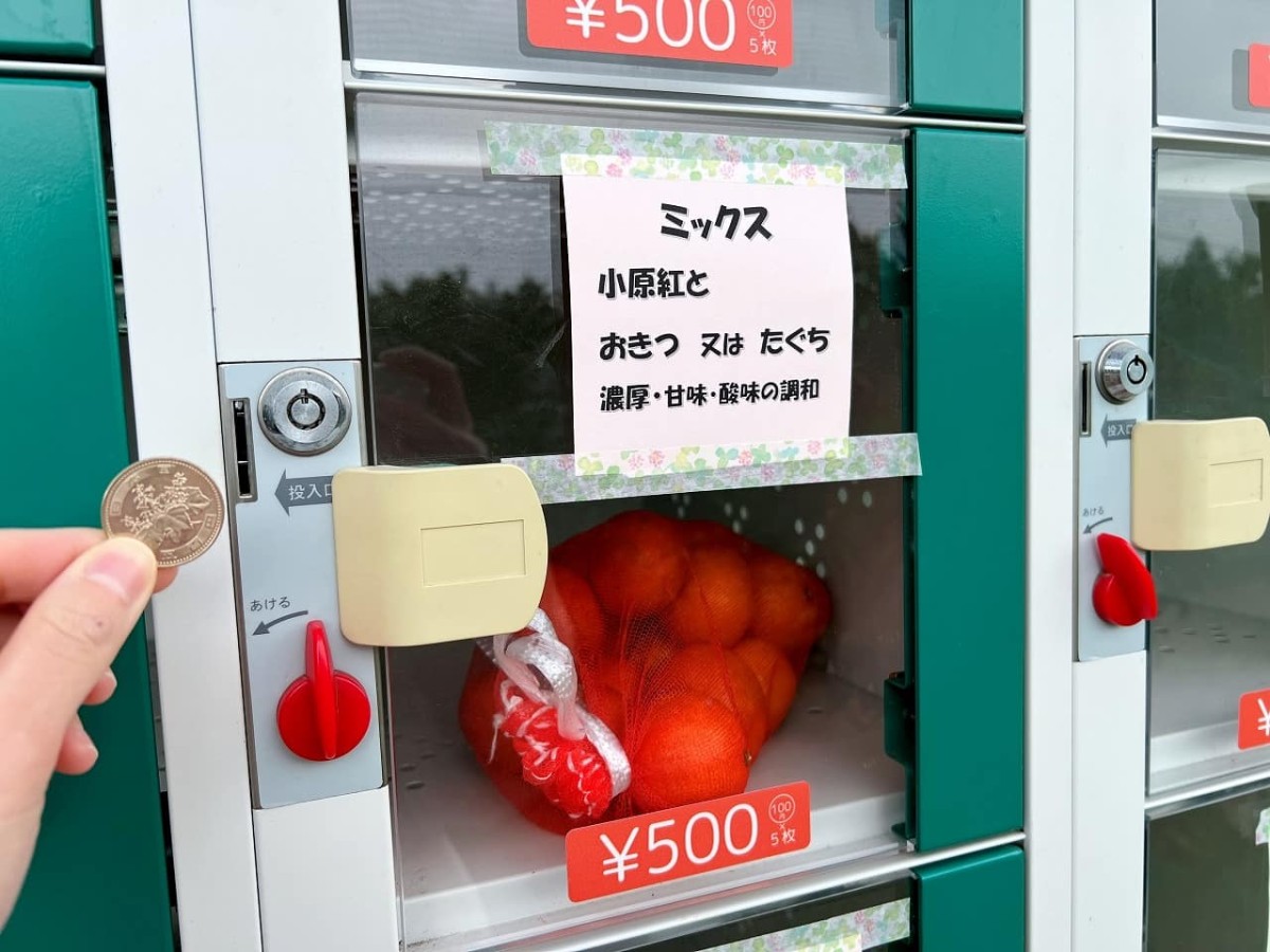 島根県安来市_やすぎ観光みかん園_みかんの自販機_珍スポット