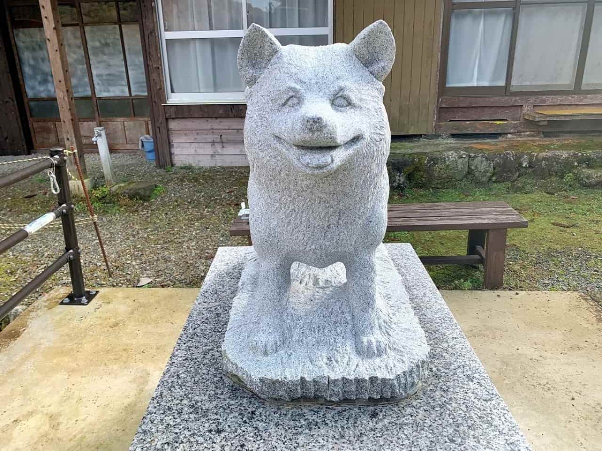 島根県益田市_石号_柴犬_先祖_お出かけ_オススメ