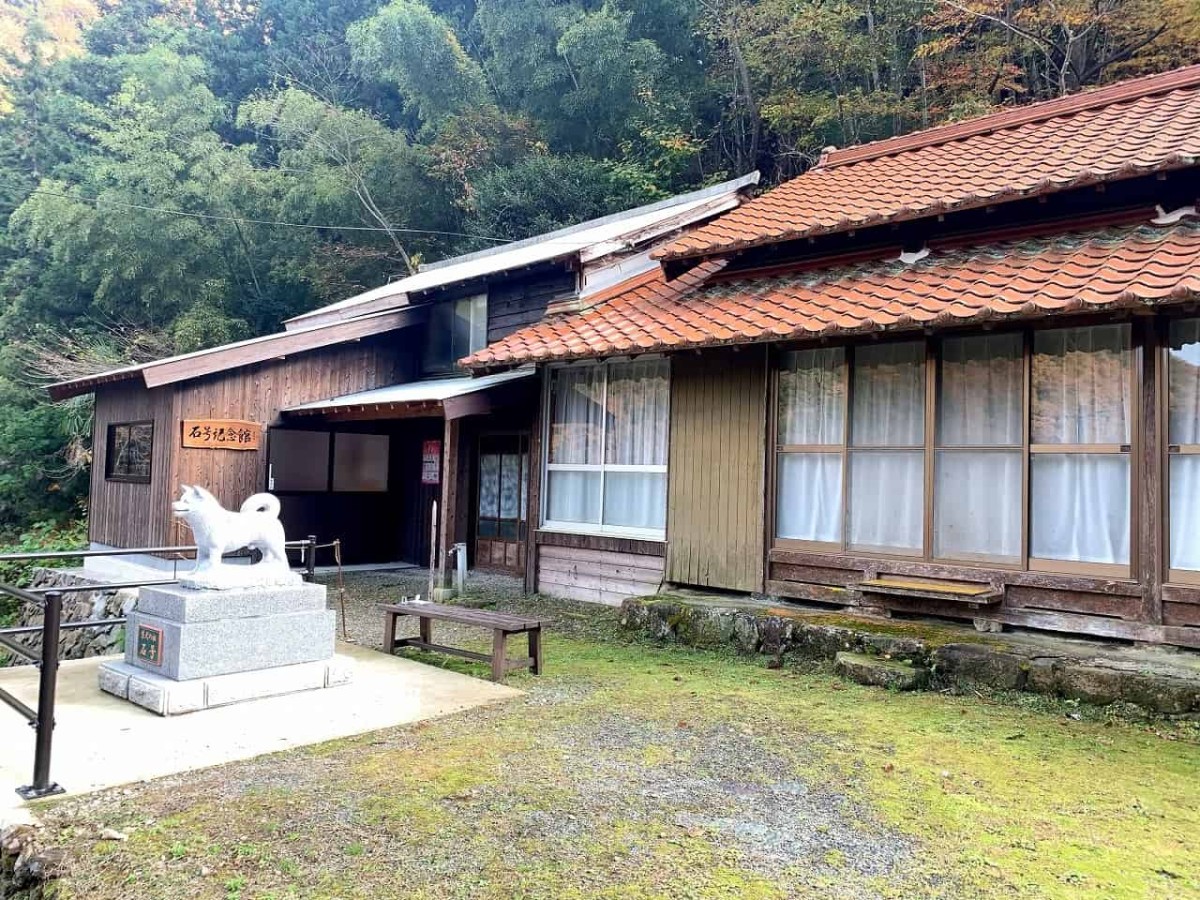 島根県益田市_石号_柴犬_先祖_お出かけ_オススメ