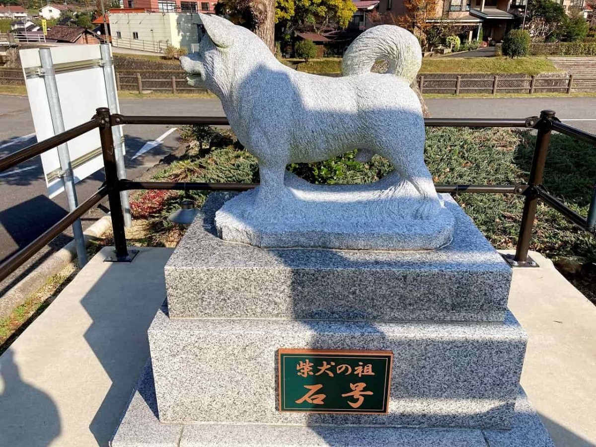 島根県益田市_石号_柴犬_先祖_お出かけ_オススメ