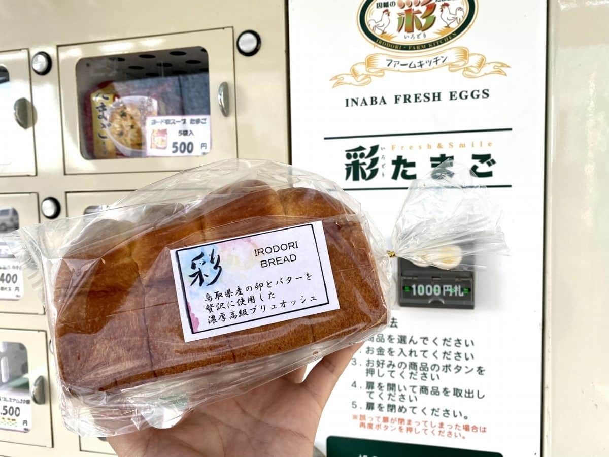 鳥取市_自販機_レア_彩ファームキッチン_新鮮たまごの自販機