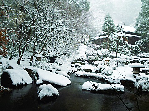 鳥取県_三朝温泉_温泉宿_おすすめ_依山楼岩崎_日帰り入浴_料金