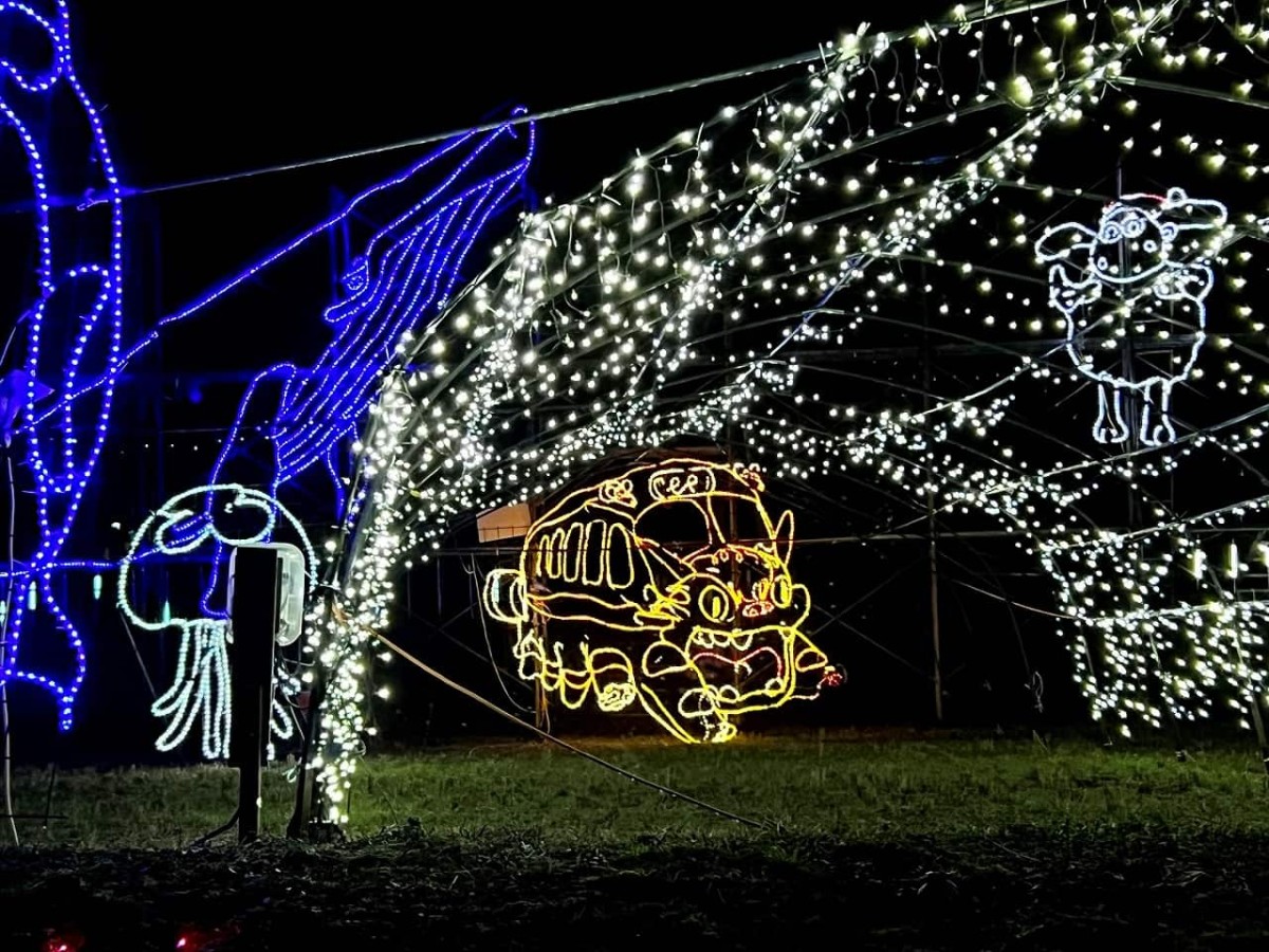 島根県安来市伯太町_イルミネーション_オススメスポット_夜イベント