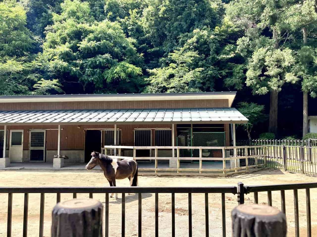 鳥取県鳥取市_イベント_樗谿公園_鳥取市歴史博物館やまびこ館_おでかけ_子連れ_鉄道