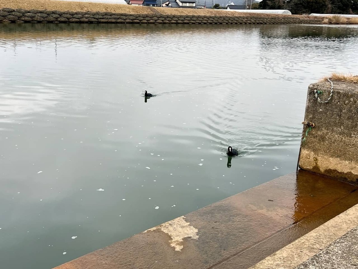 島根県松江市の公園『市向児童公園』の様子