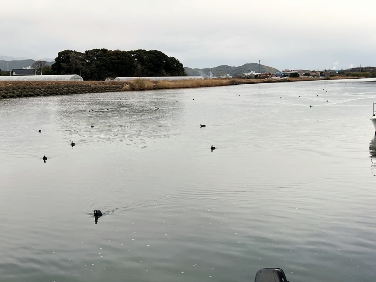 島根県松江市の公園『市向児童公園』の様子