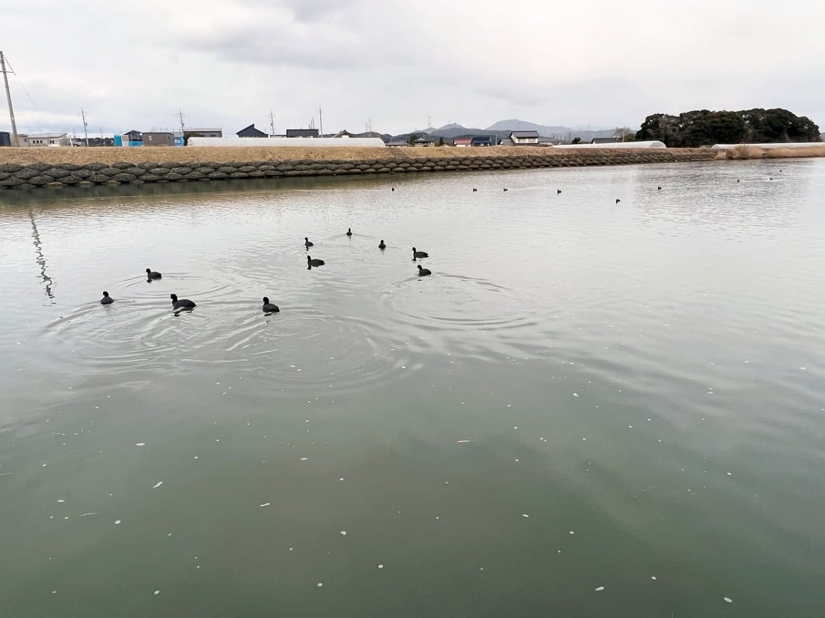 島根県松江市の公園『市向児童公園』の様子