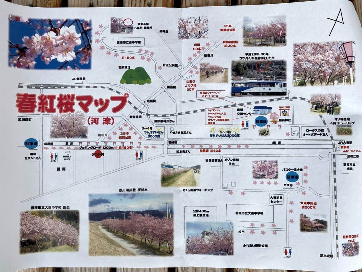 島根県雲南市大東町の桜スポット『赤川河津桜』の周辺地図