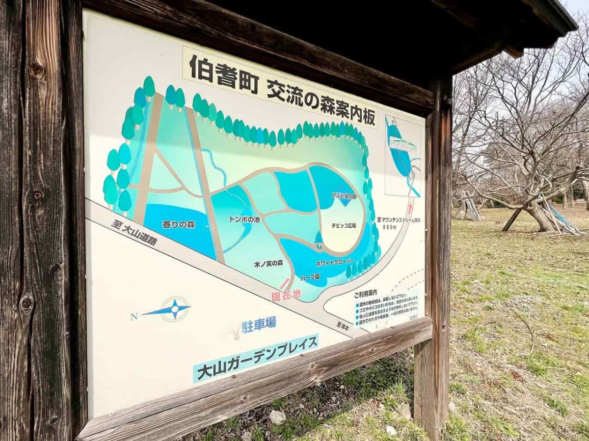 鳥取県西伯郡伯耆町の『大山ガーデンプレイス』向かい「交流の森」の様子