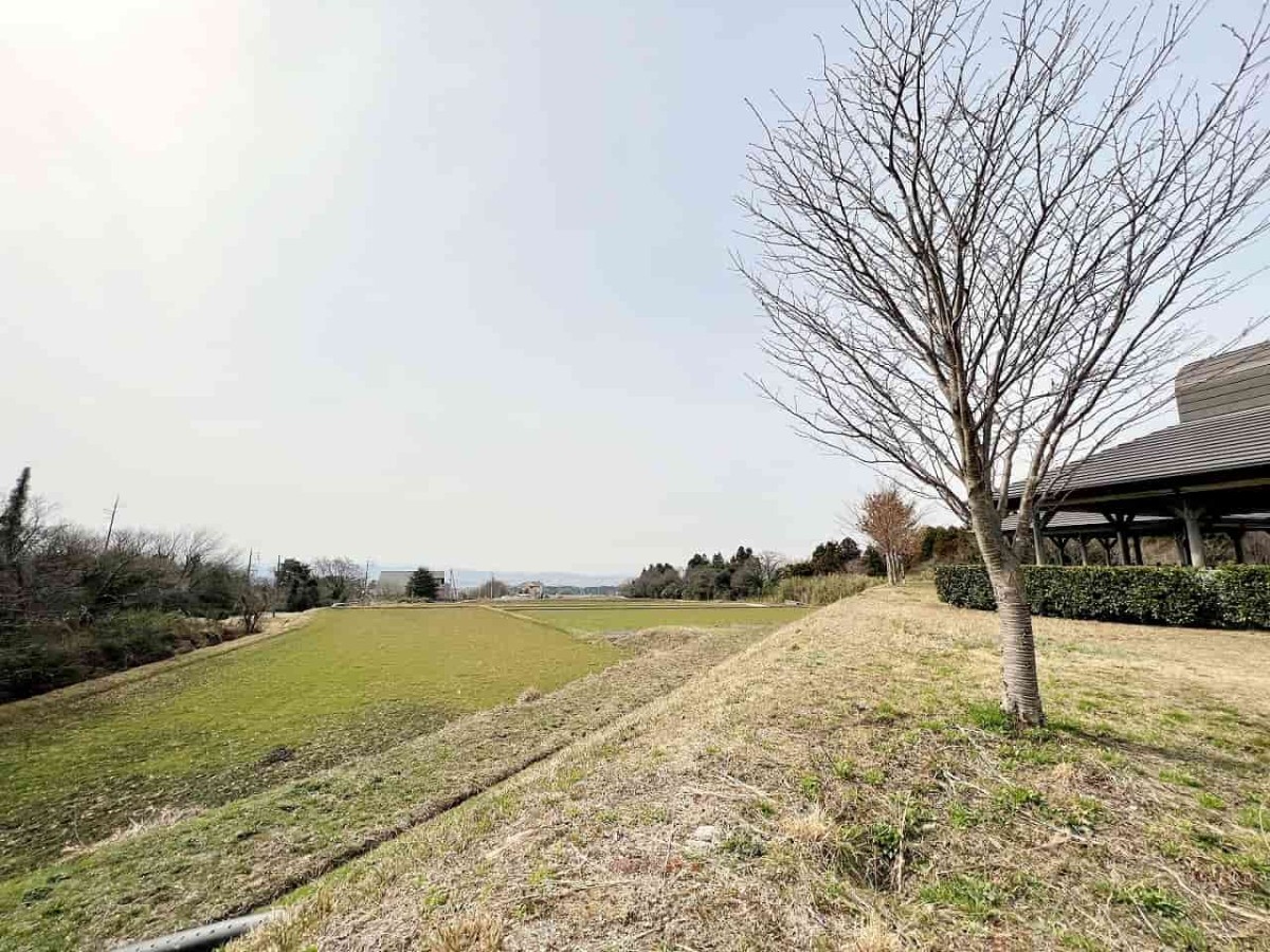 鳥取県西伯郡伯耆町の『大山ガーデンプレイス』向かい「交流の森」の様子