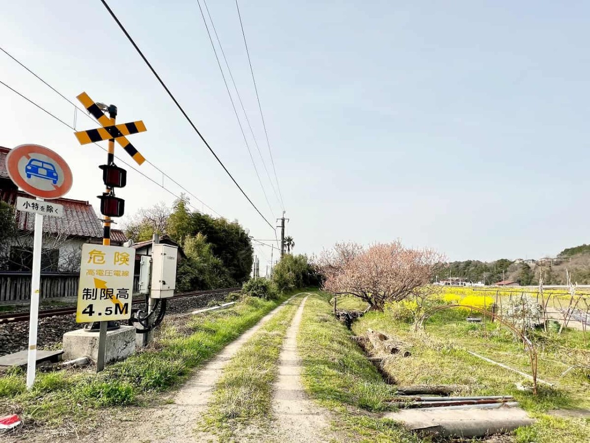 鳥取県西伯郡伯耆町の岸本駅周辺の農道の様子