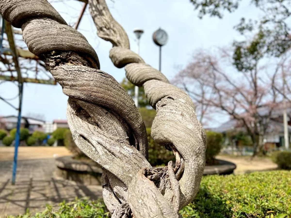 鳥取県米子市の『永江東公園』の様子