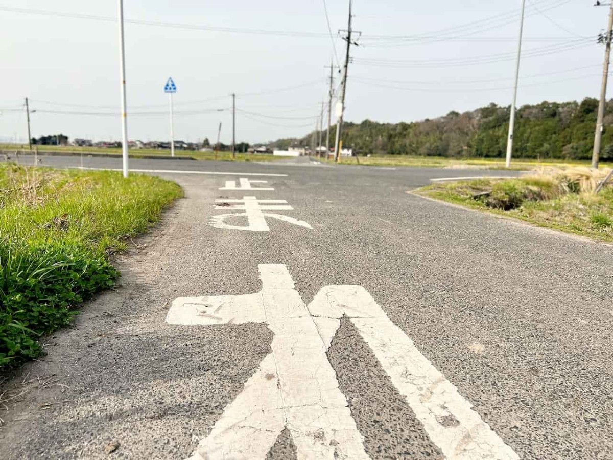 鳥取県西伯郡伯耆町の岸本駅周辺の農道の様子