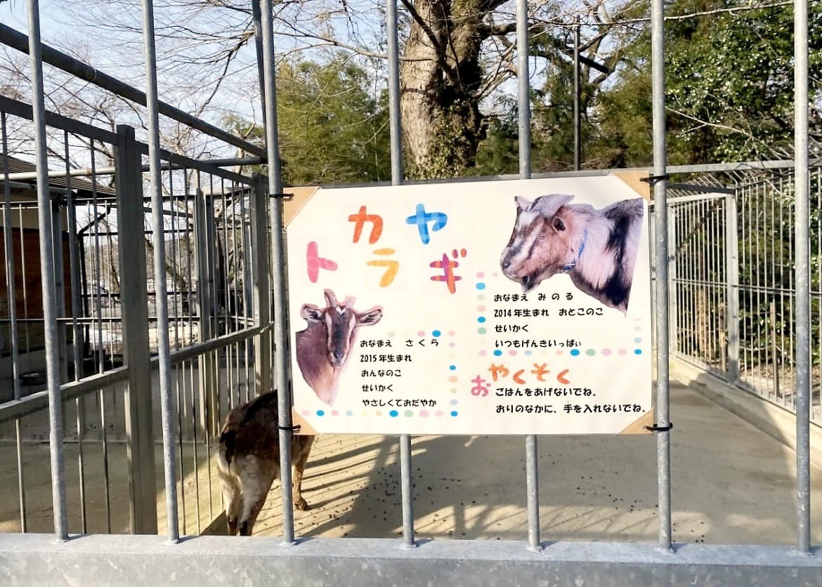 鳥取県倉吉市にある『打吹公園』の様子