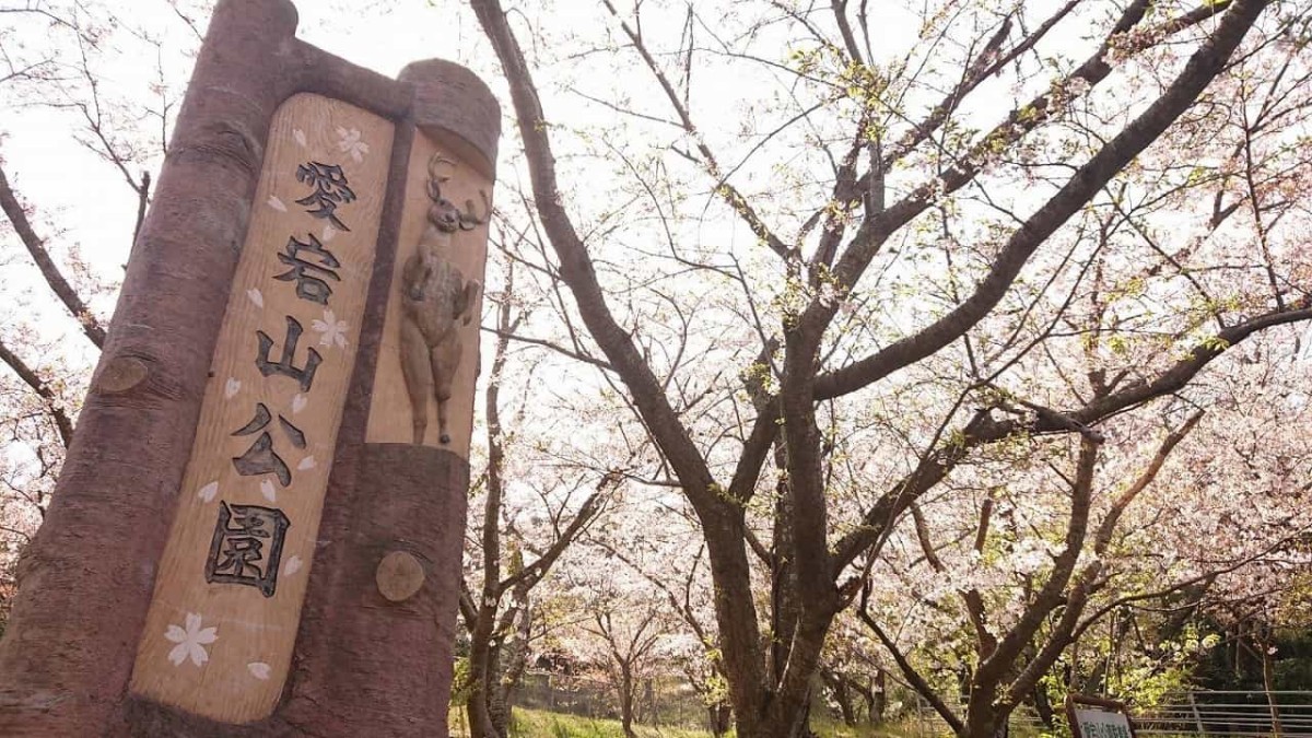 島根県出雲市の『愛宕山公園』の様子