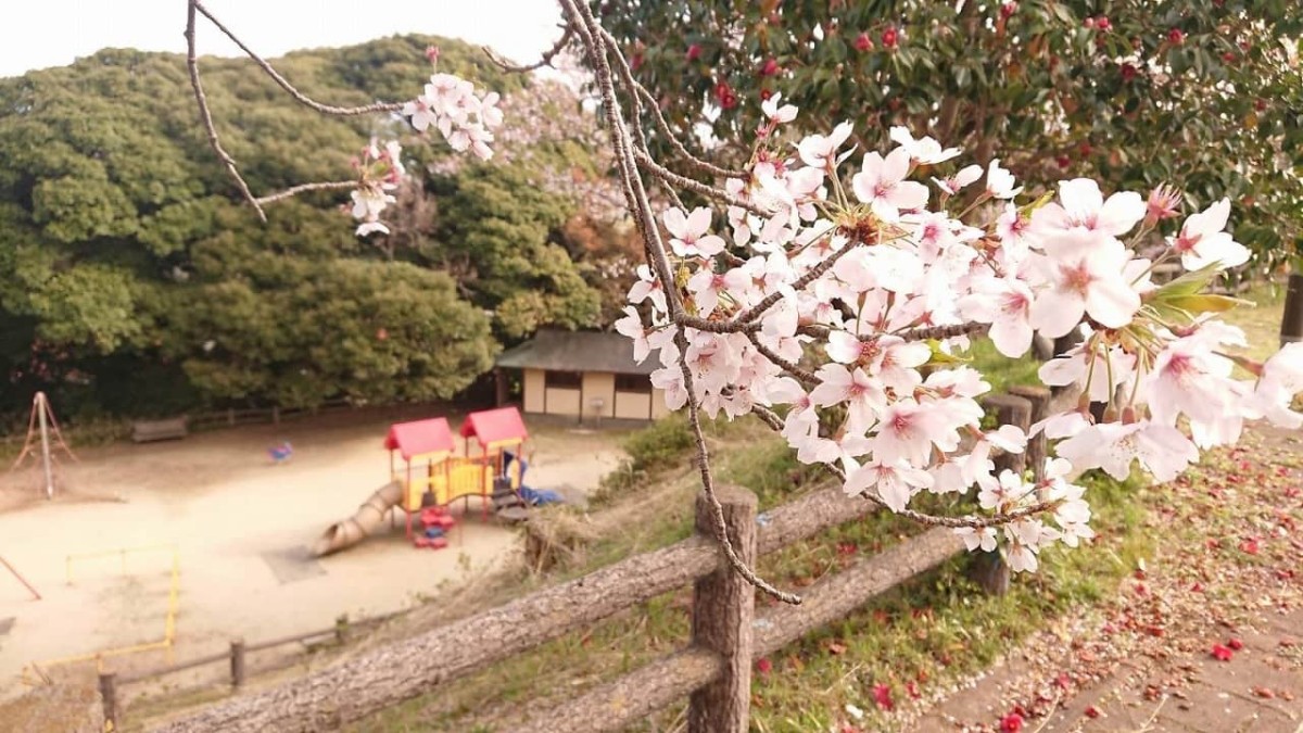 島根県出雲市の『愛宕山公園』の様子