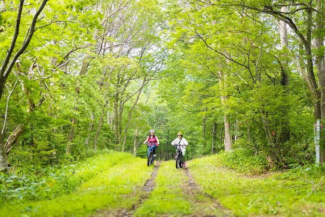 大山林間マウンテンバイクトレイルコースの様子