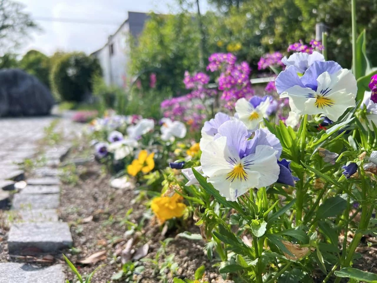 鳥取県倉吉市の「緑の彫刻プロムナード」の様子