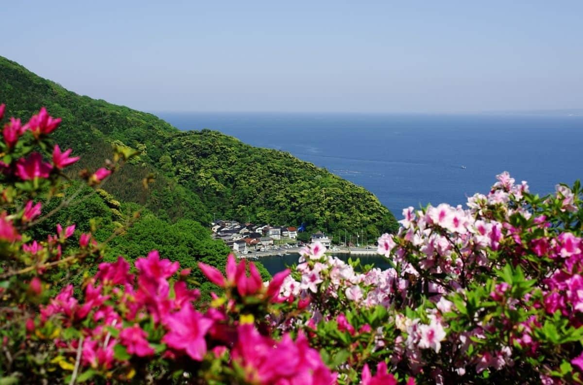 島根県松江市美保関町にある『五本松公園』から見える海景色