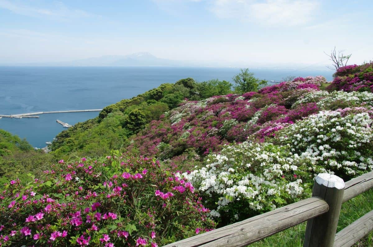 島根県松江市美保関にある『五本松公園』の様子