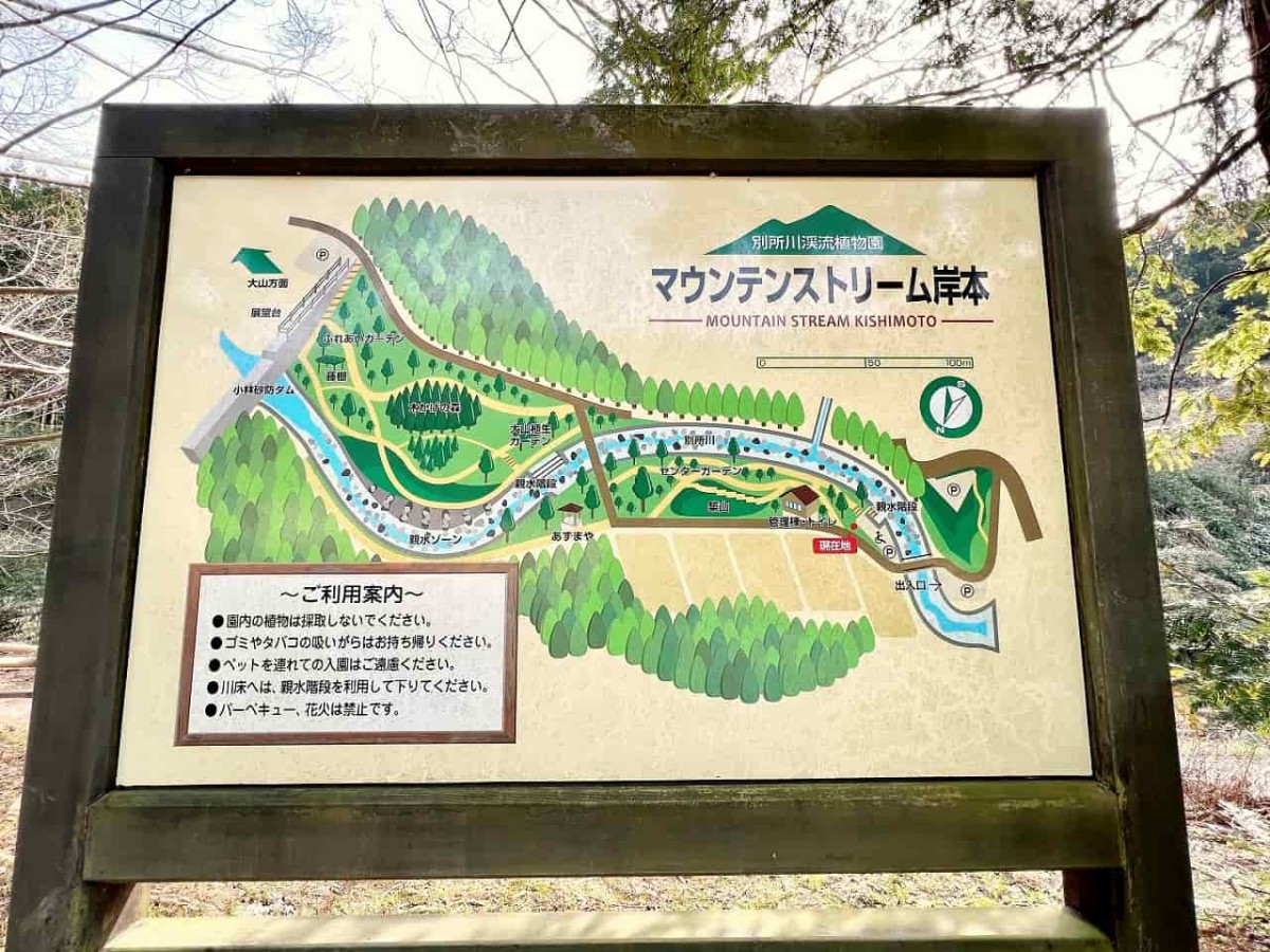 鳥取県西伯伯耆町にある渓流公園『マウンテンストリームきしもと』の様子