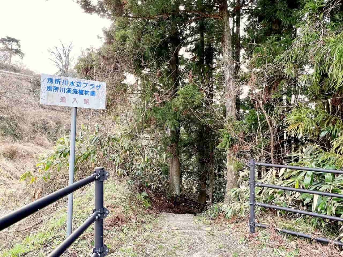 鳥取県西伯伯耆町にある渓流公園『マウンテンストリームきしもと』の様子