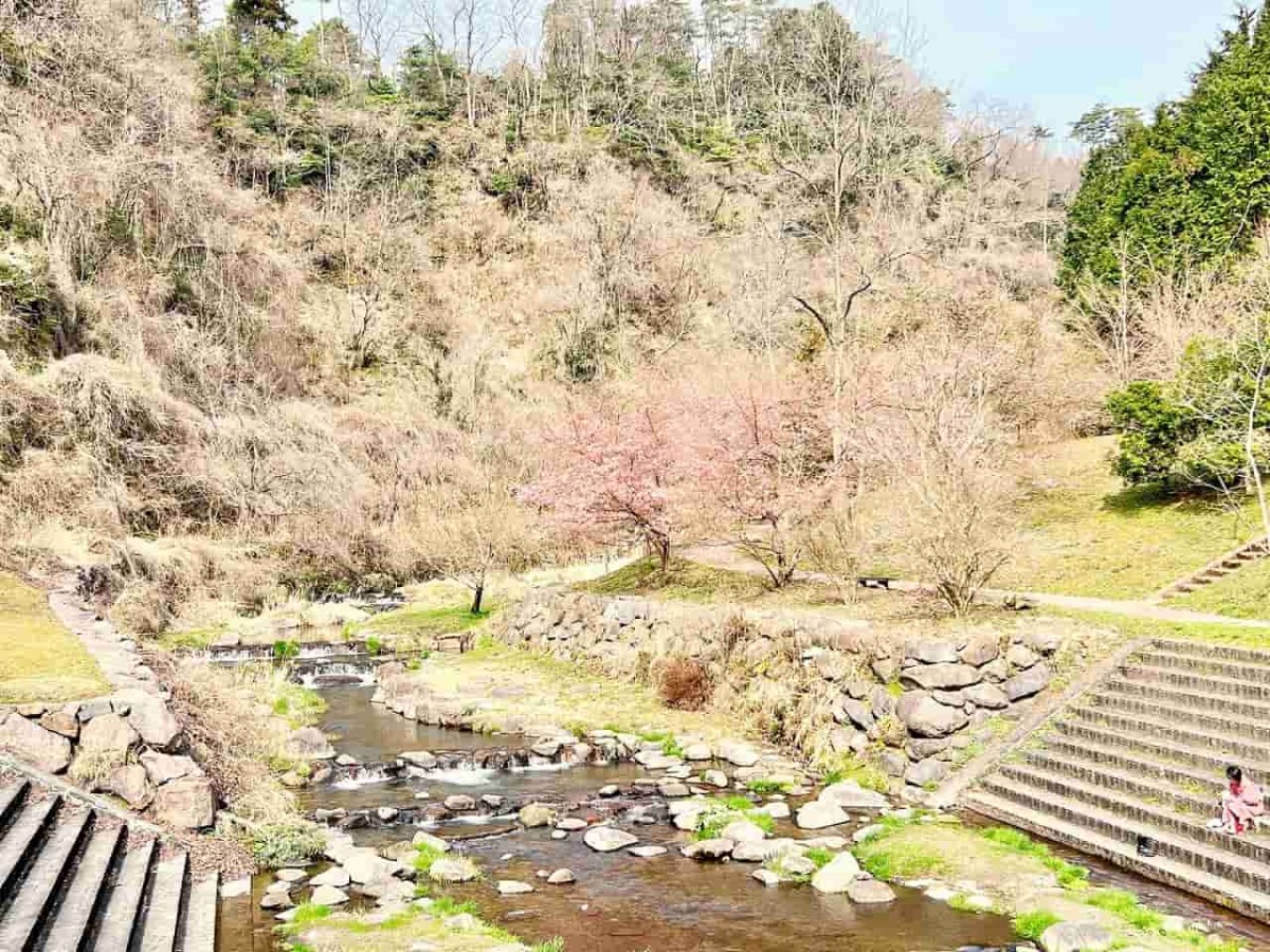 鳥取県西伯伯耆町にある渓流公園『マウンテンストリームきしもと』の様子