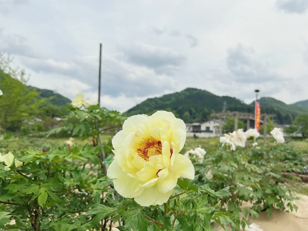 島根県飯石郡飯南町の『赤名ふれあい公園』の様子