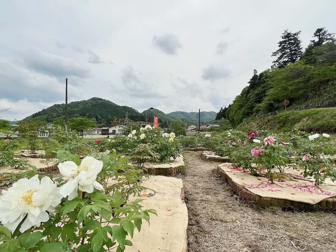 島根県飯石郡飯南町の『赤名ふれあい公園』の様子