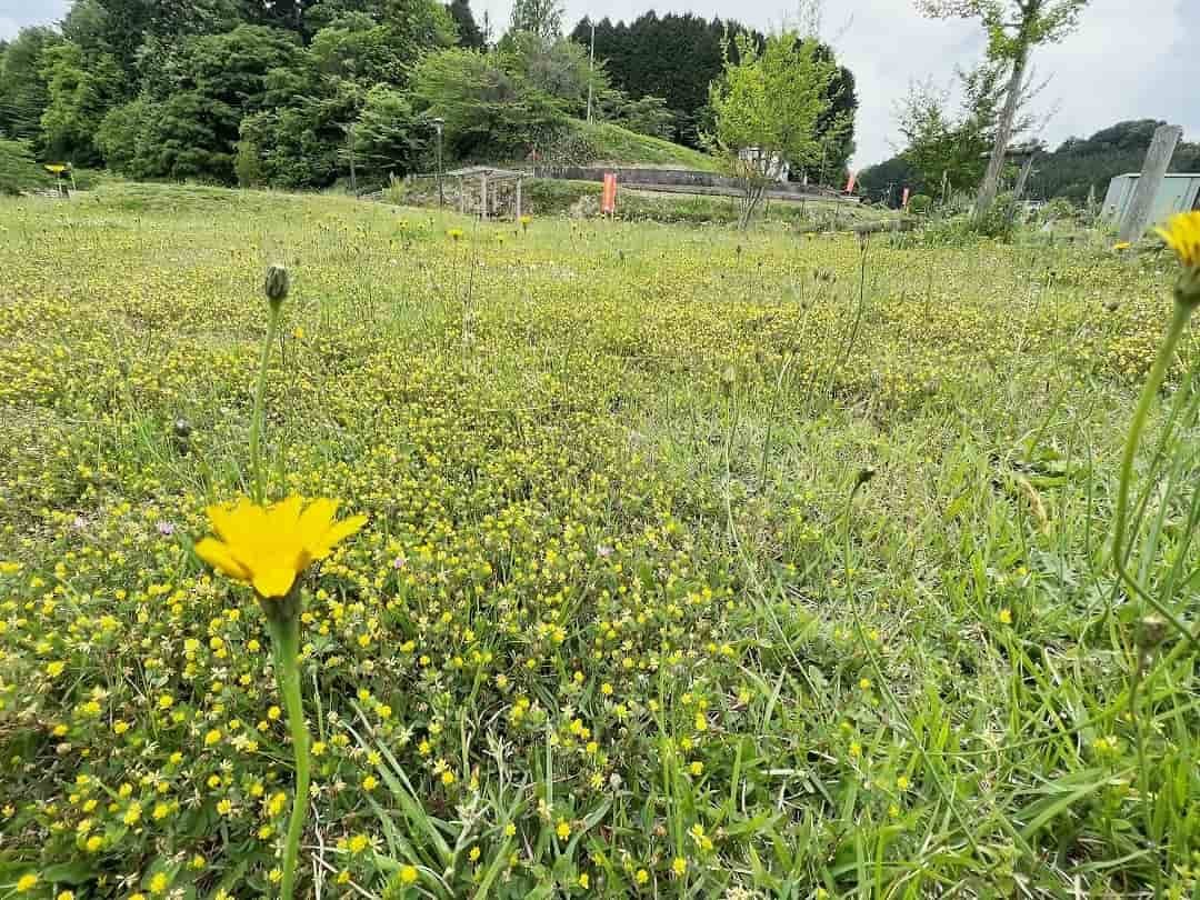 島根県飯石郡飯南町の『赤名ふれあい公園』の様子