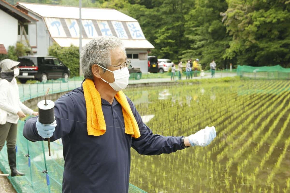 アイガモ農法をされている飯南町の宇山さん