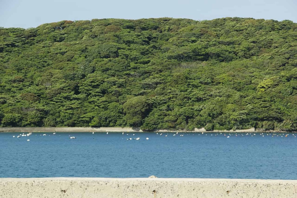 島根県松江市島根町にある『野井緑地広場』の様子