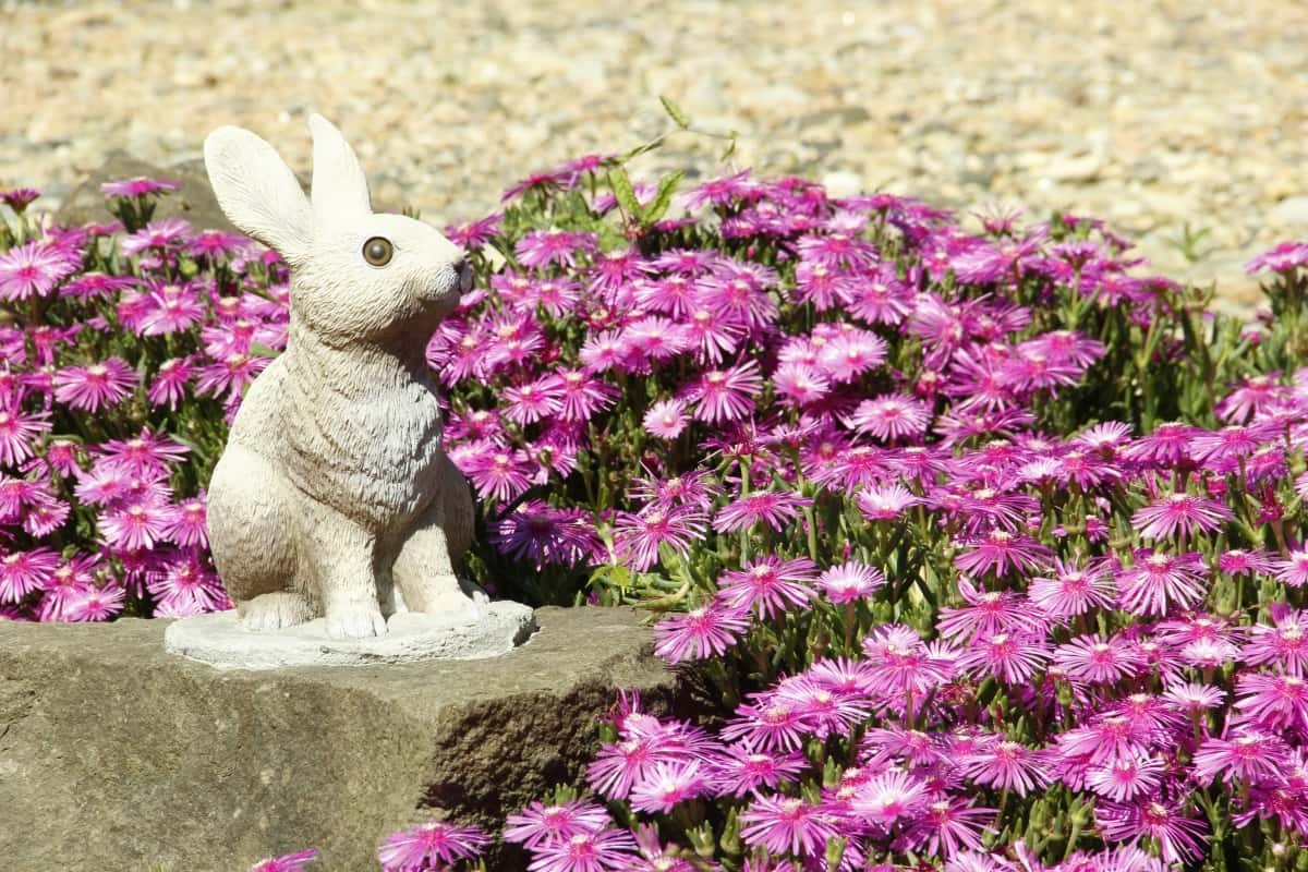 島根県松江市美保関町にあるフラワースポット『内田花園』の様子