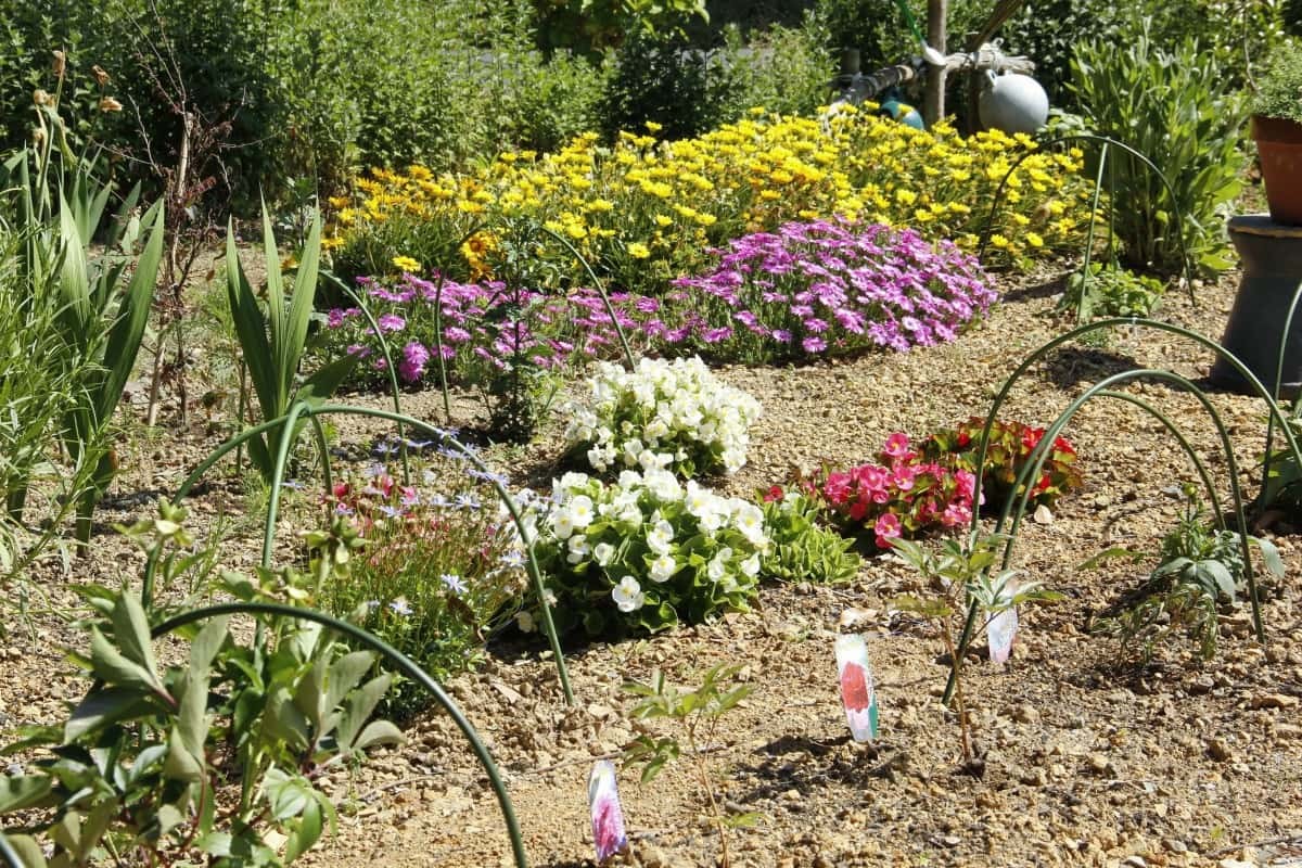 島根県松江市美保関町にあるフラワースポット『内田花園』の様子