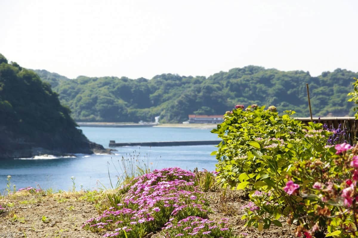 島根県松江市美保関町にあるフラワースポット『内田花園』の様子