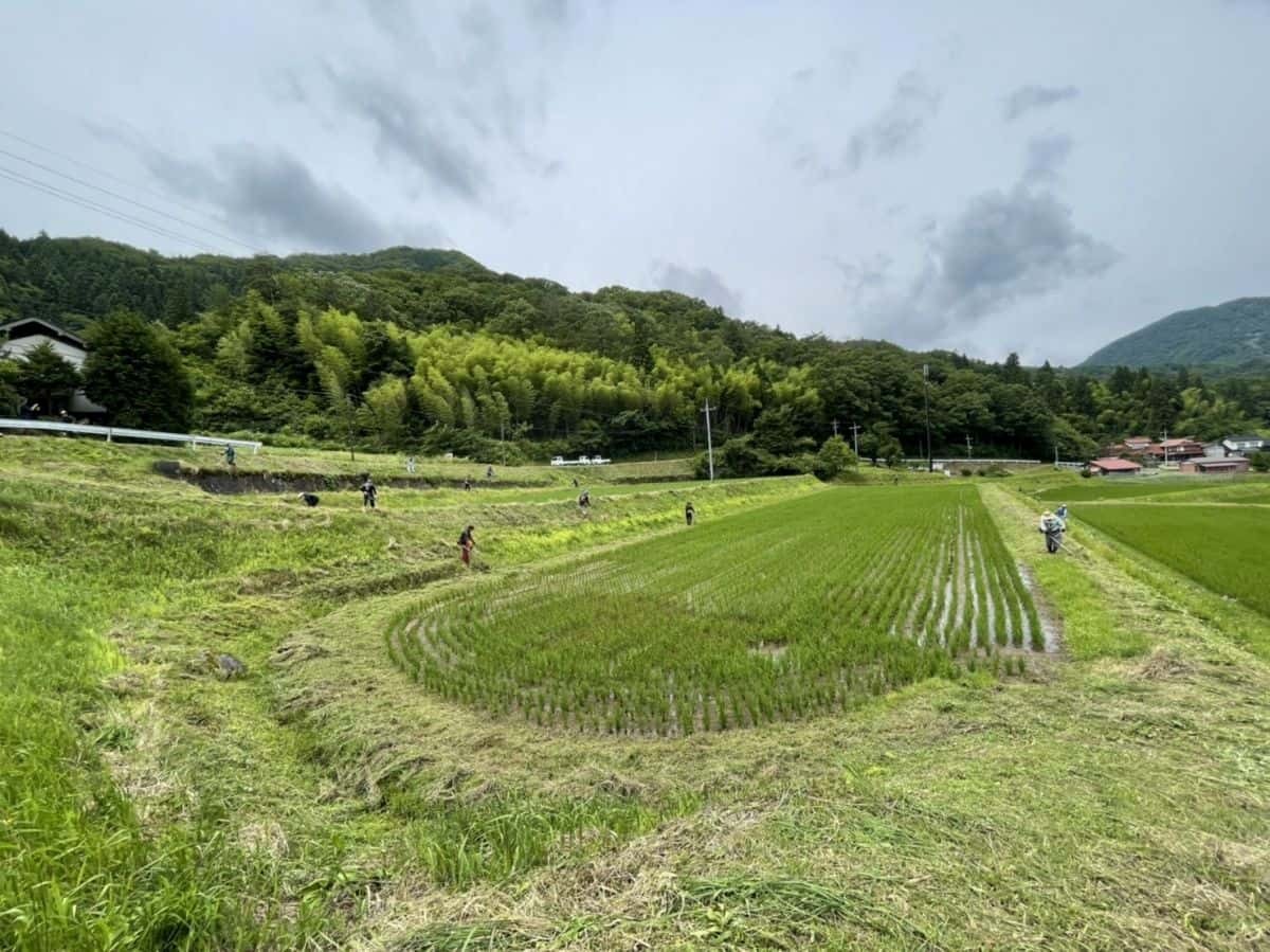 島根県雲南市吉田町で行われた草刈りイベント「草刈り応援隊」の様子