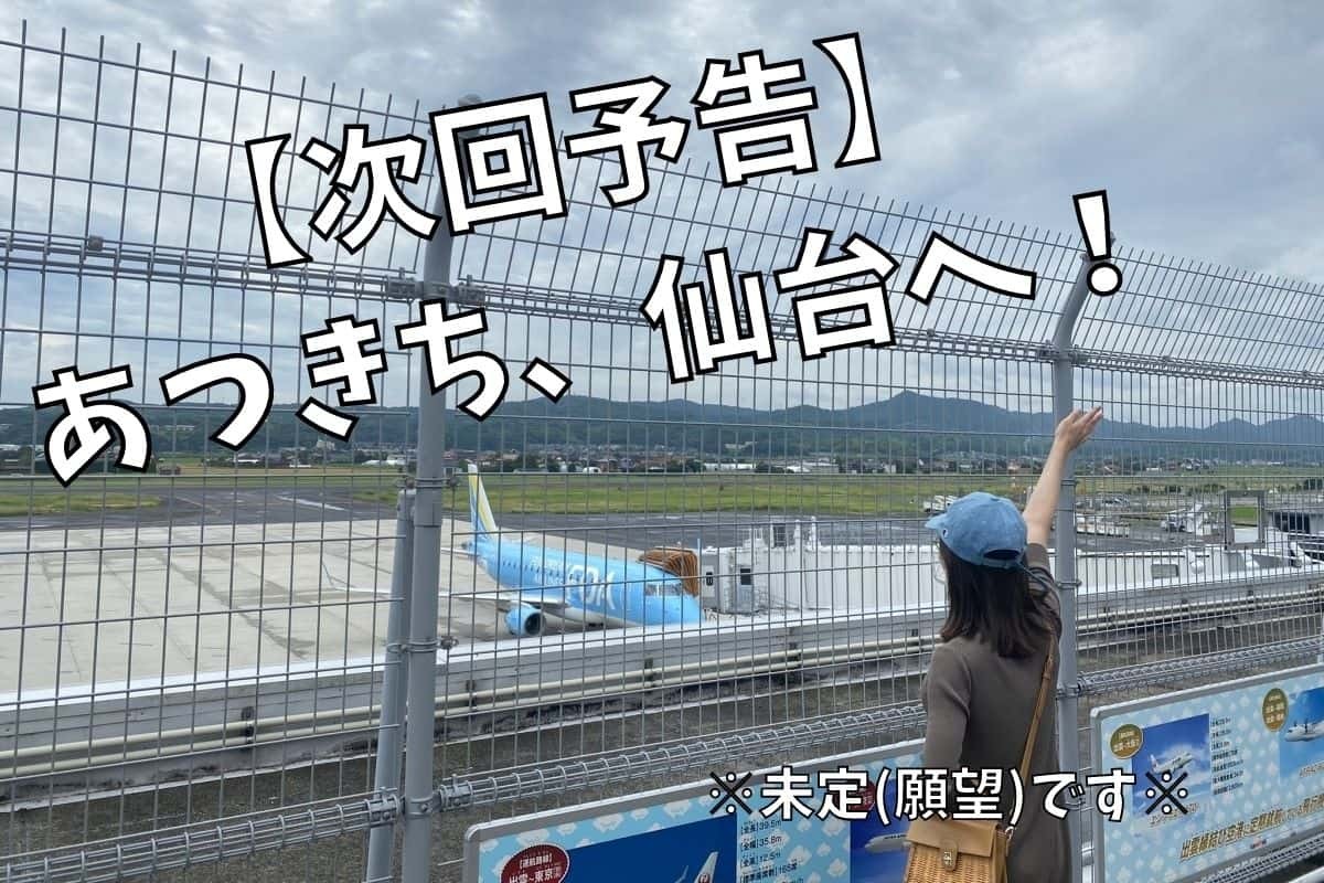 飛行機に手を振るラズダ編集部あつきち