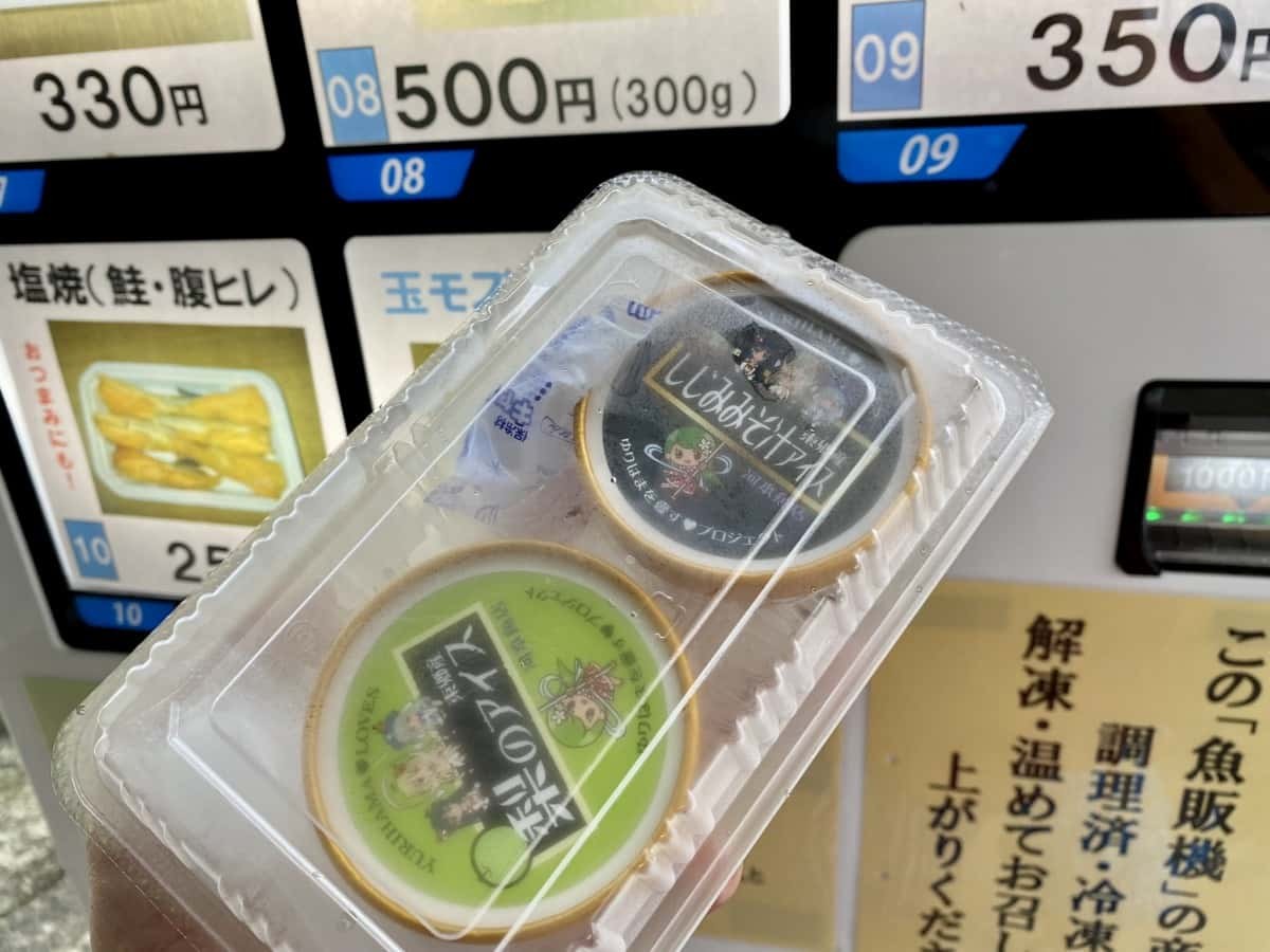 鳥取県湯梨浜町の「河本魚店」前にある「魚の自販機」で販売されているアイス