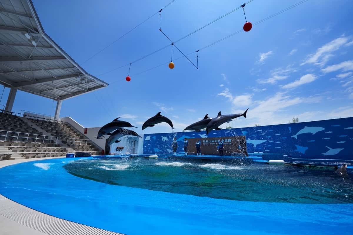 仙台うみの杜水族館