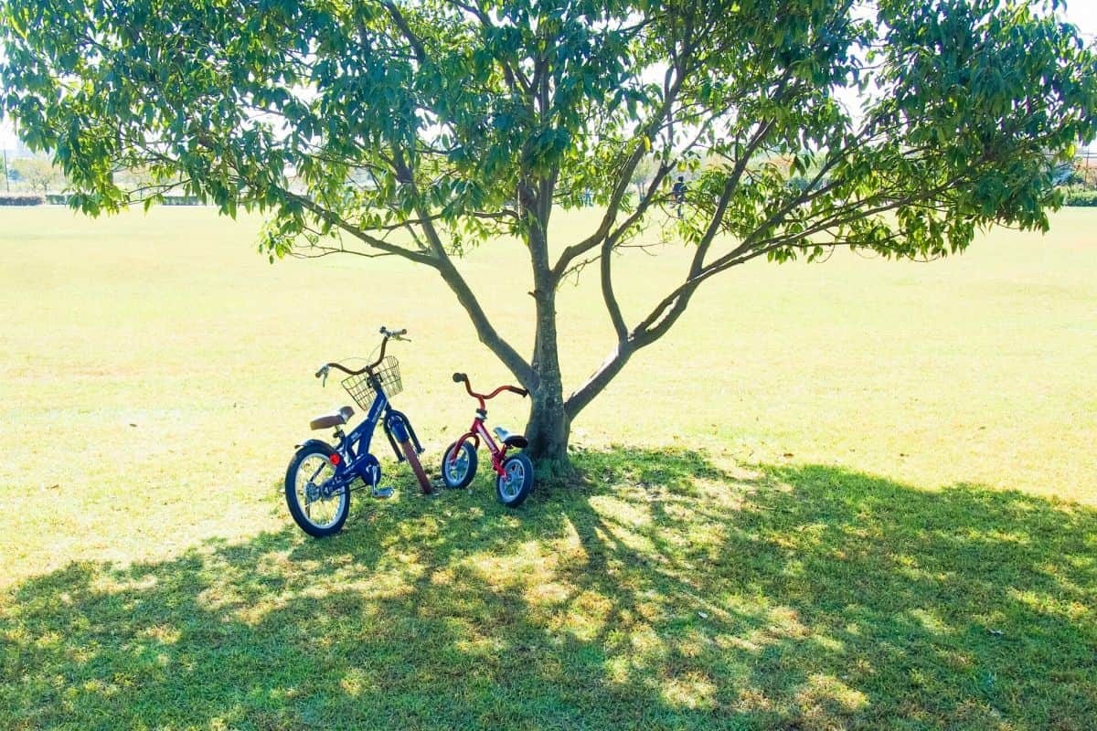 子どもの自転車