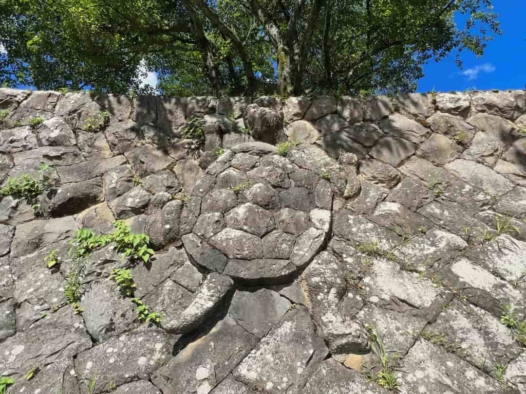 鳥取県鳥取市青谷町の蔵内観音寺にいる「石垣の亀石」の様子