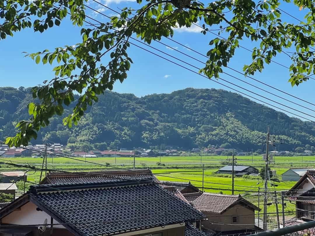 鳥取県鳥取市青谷町の蔵内観音寺にいる「石垣の亀石」周辺の様子