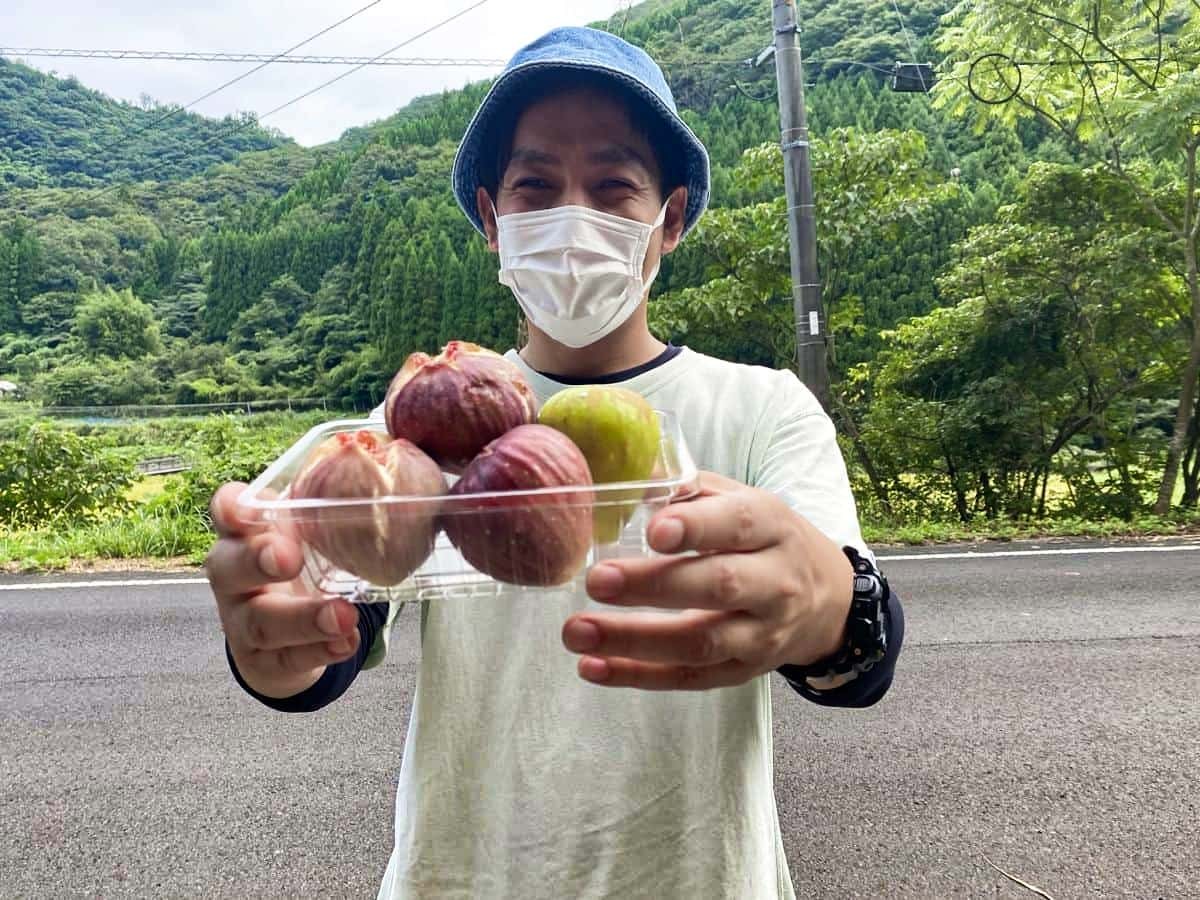 島根県出雲市多伎町でイチジクの収穫体験をしてきた編集部いしやん