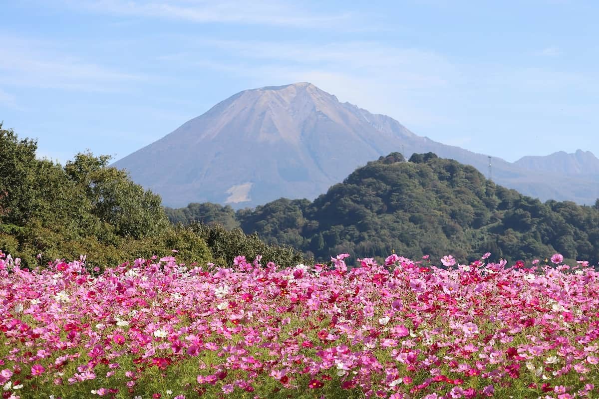 とっとり花回廊で開催されるイベント「オータムフェスティバル」の開催中の様子