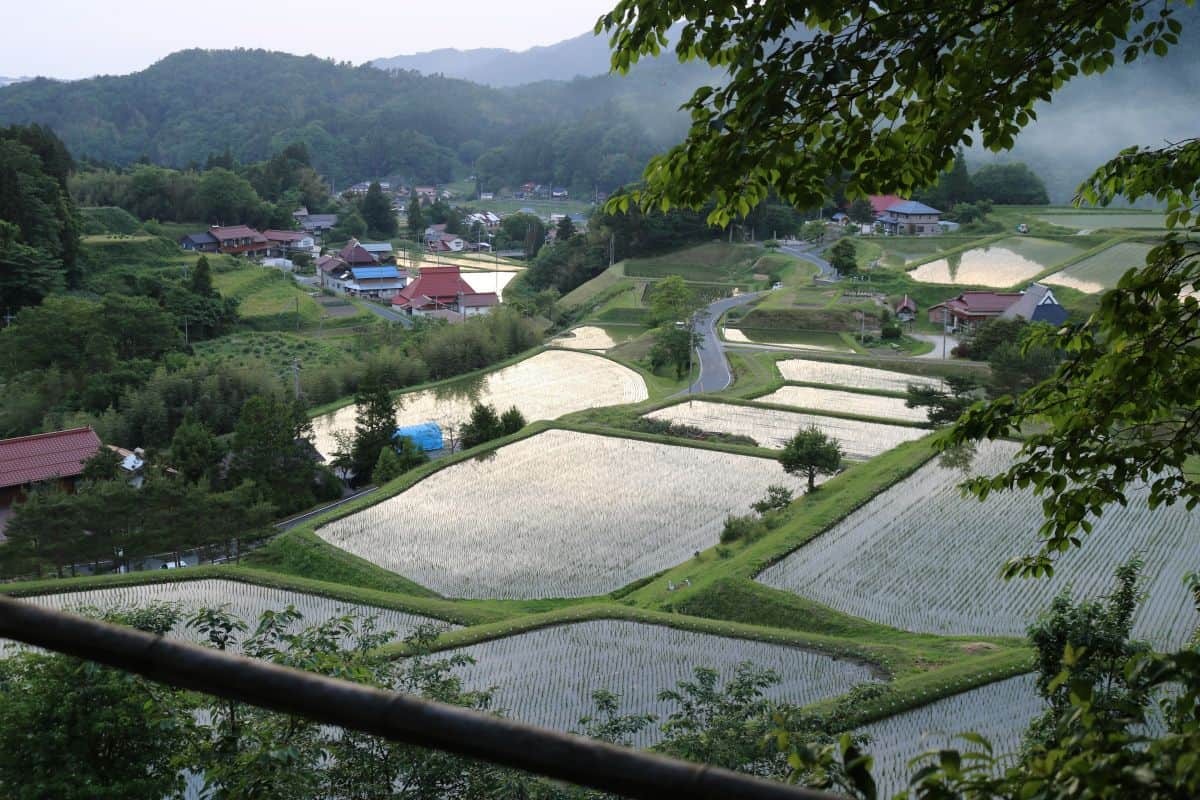 島根県奥出雲町の追谷地区の棚田の風景